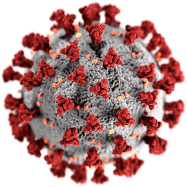 Covid-19 virus