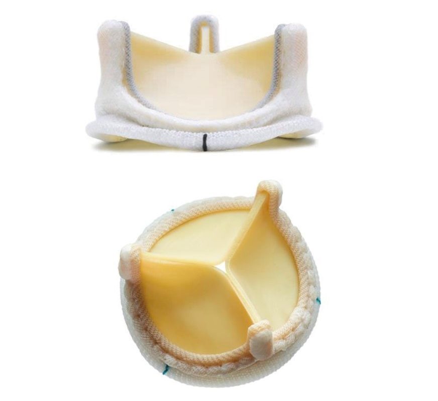 tissue